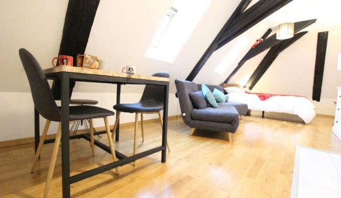 Colmar Historic Center - Cosy Studio PETIT CATHEDRALE 1 - BookingAlsace