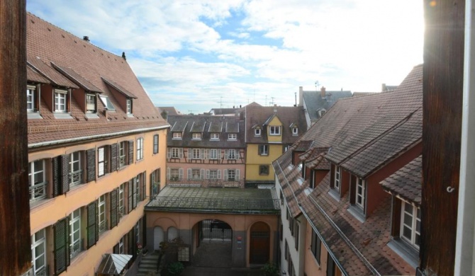 COLMAR city center Little Venise - "GITE COTE GRAND RUE" - TripAlsace