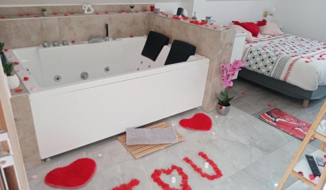 Studio Jacuzzi au centre Colmar