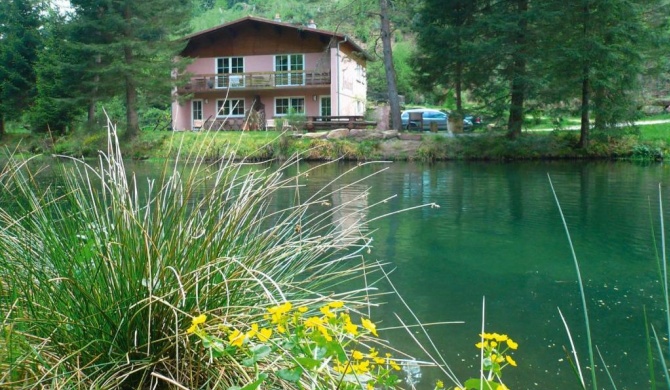 Large holiday flat on the trout farm in Dabo