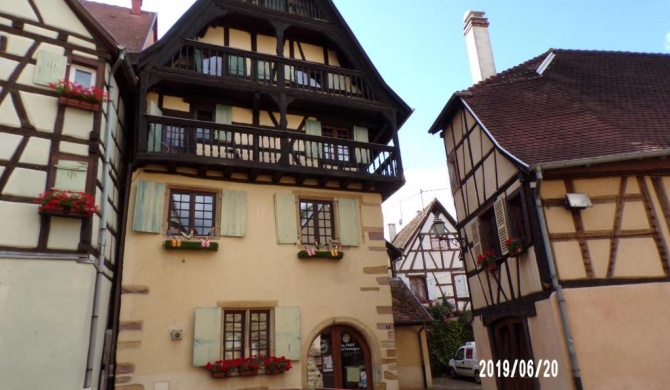 4 bedrooms luxury appartment for 10p in Eguisheim, 10 mn from Colmar