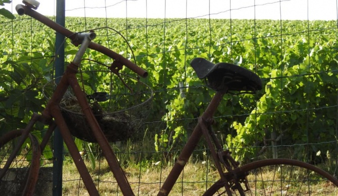 Au Coeur Des Vignes