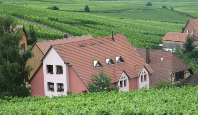 Studio chez le vigneron