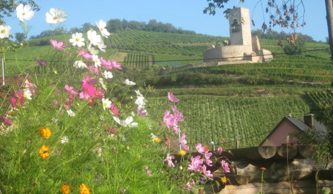 Ecologis du Vignoble