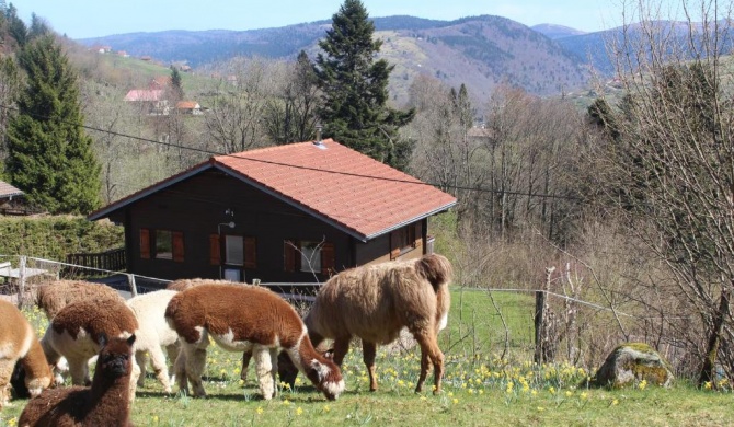 Chalet Les Bouleaux, la montagne des lamas