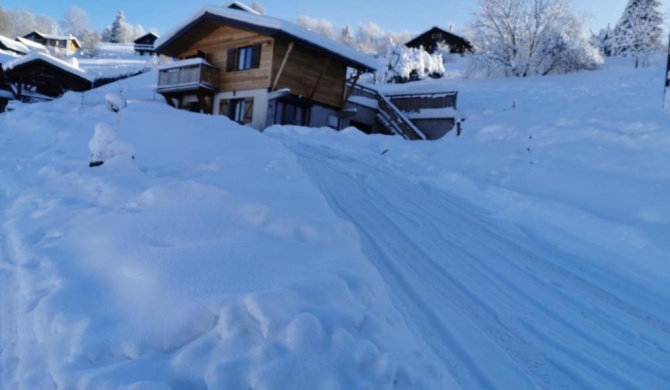 Le chalet du Brabant à 200 mètres des pistes