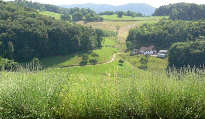 Gîte la Sapinière