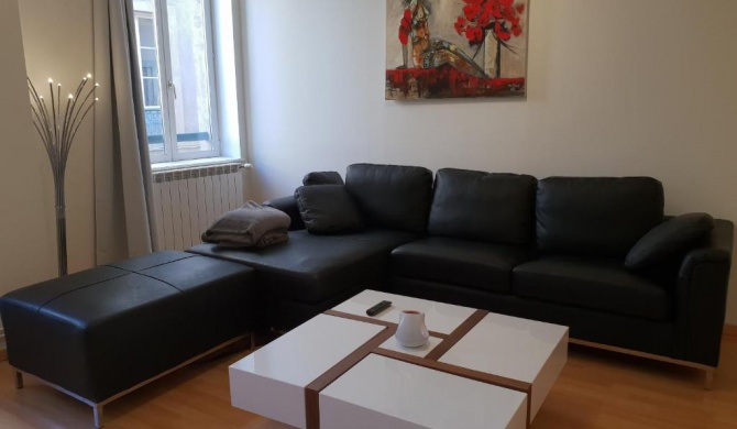 Grand appartement en centre ville