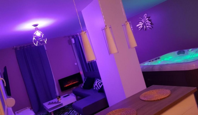 La Somptueuse 100m2 Spa/Sauna privé