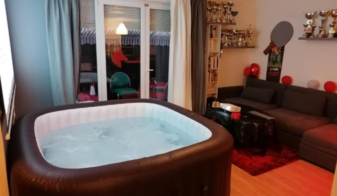 Joli appartement coquet disposant d'un jaccuzi spa proche centre ville