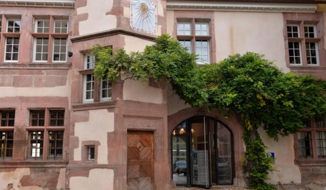 La Cour Des Nobles - Appartements Riquewihr