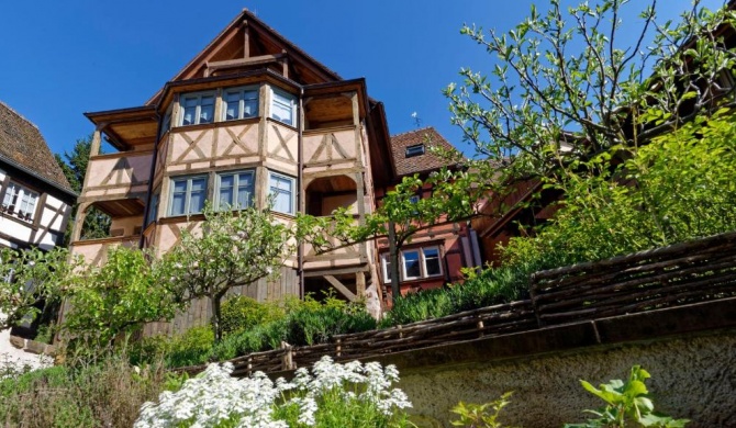 Remparts de Riquewihr Apartments