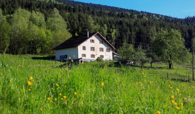 la ferme des pélicans