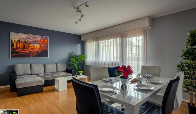 Appartement Spacieux Schiltigheim