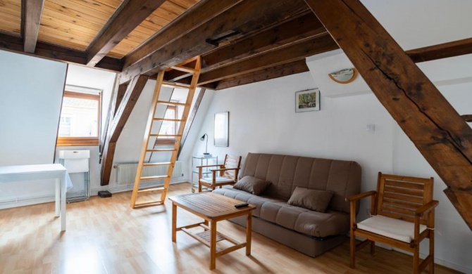 CityCosy Strasbourg - Budget St Thomas Serruriers