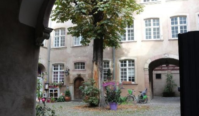 Les Dentelles - Appartement meublé design Petite France