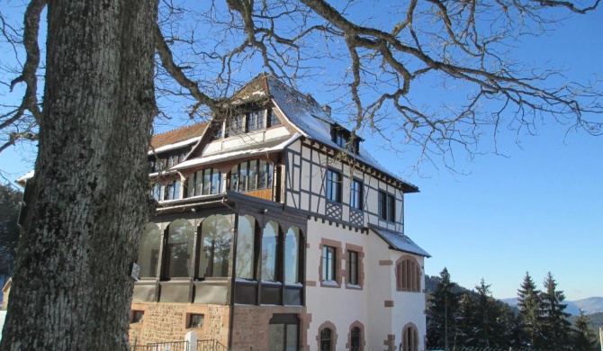 Logis Du Haut-Koenigsbourg