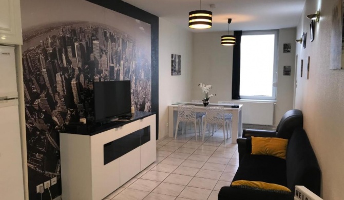 Sympathique logement en centre ville