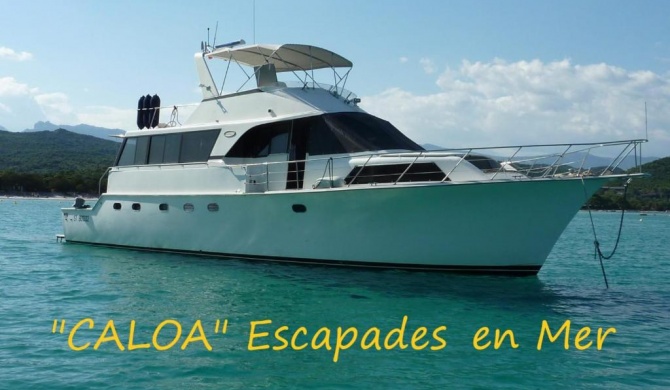 Ocean Yacht Trawler - Le Caloa