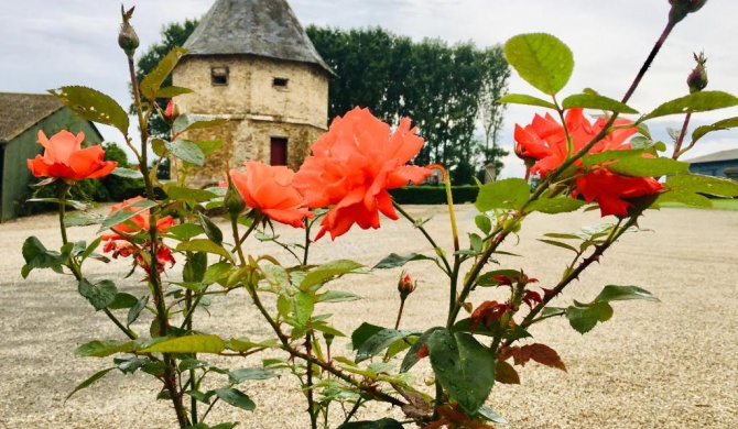 Chambres dhotes a la ferme