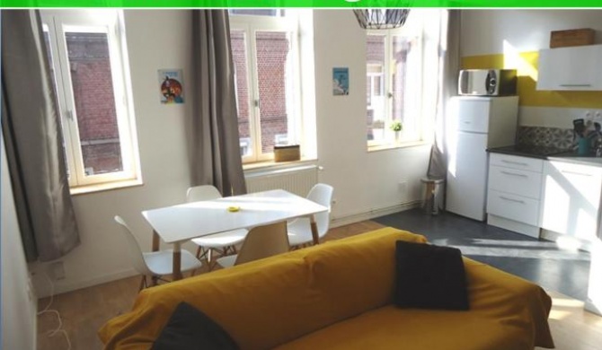 Appartement Lille/1ch/stationnement gratuit