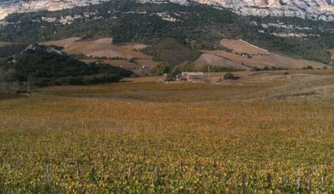 Agréable Location au coeur du vignoble