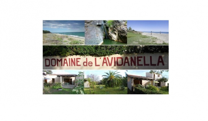 Domaine de l'Avidanella